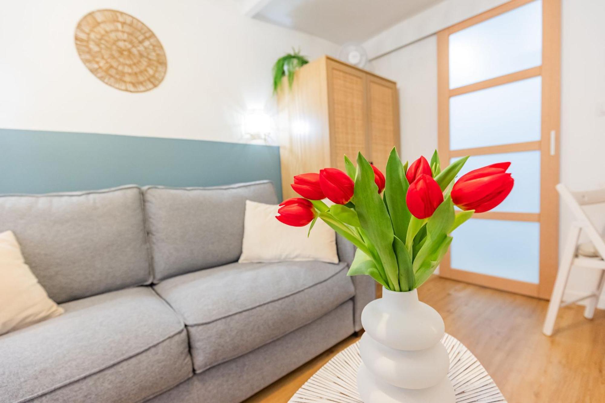 Studio Cozy Centre Avec Parking Грасс Екстер'єр фото